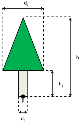 Abb-Nadelbaum