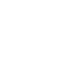 public/assets/icons/scale-icon.png