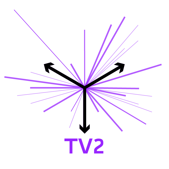 Logo TV 2